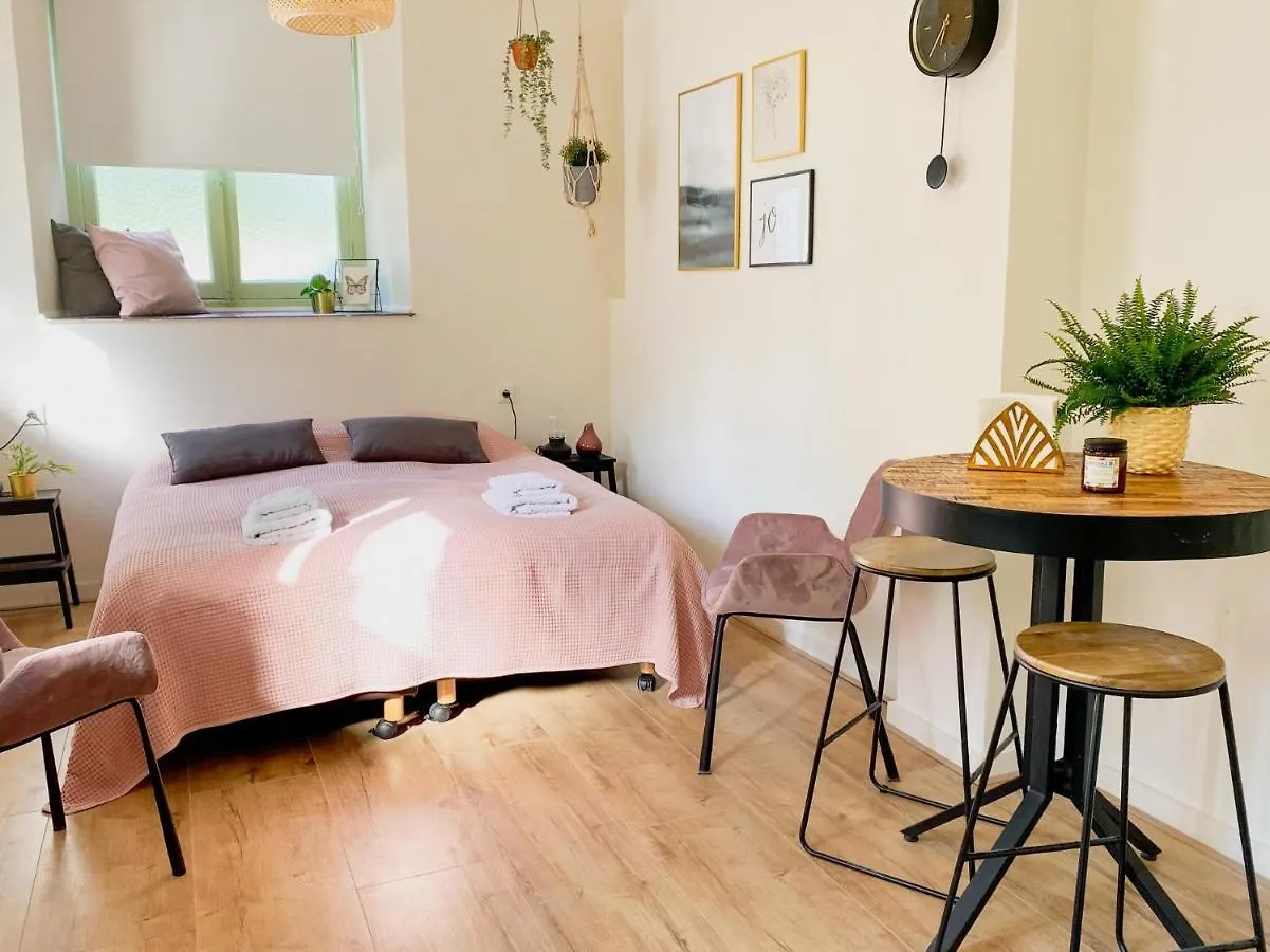 Stylish Studio In A Monastery The Abbey Apartment Maastricht